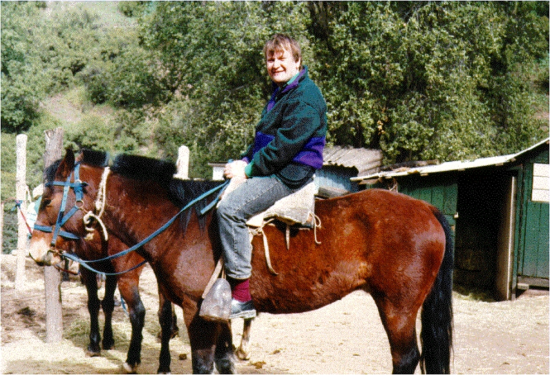VLDB94-1.gif - Up the Andes on horseback at VLDB 84 in Chile